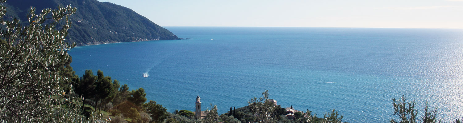 Il Golfo Paradiso e il Monte di Portofino da Megli